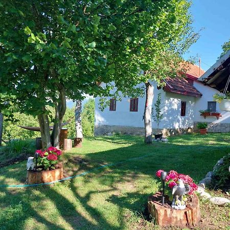 Etno Guest House Lalovic تجينتيستيه المظهر الخارجي الصورة