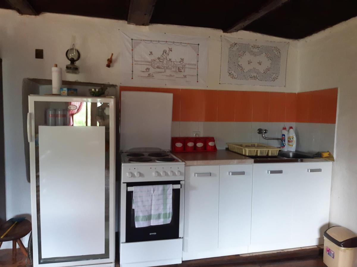 Etno Guest House Lalovic تجينتيستيه المظهر الخارجي الصورة