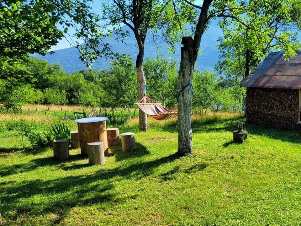 Etno Guest House Lalovic تجينتيستيه المظهر الخارجي الصورة