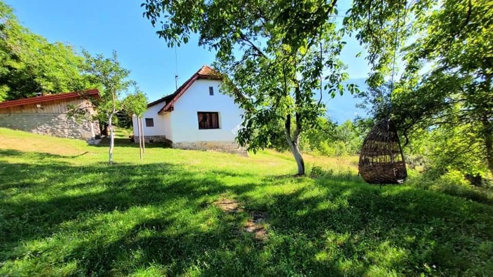 Etno Guest House Lalovic تجينتيستيه المظهر الخارجي الصورة
