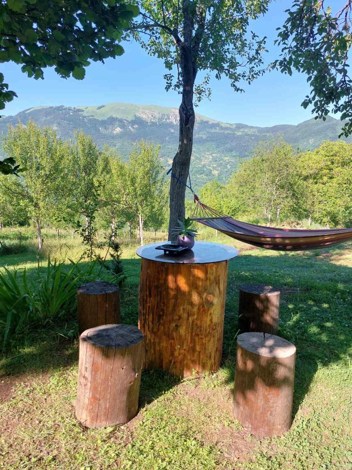 Etno Guest House Lalovic تجينتيستيه المظهر الخارجي الصورة