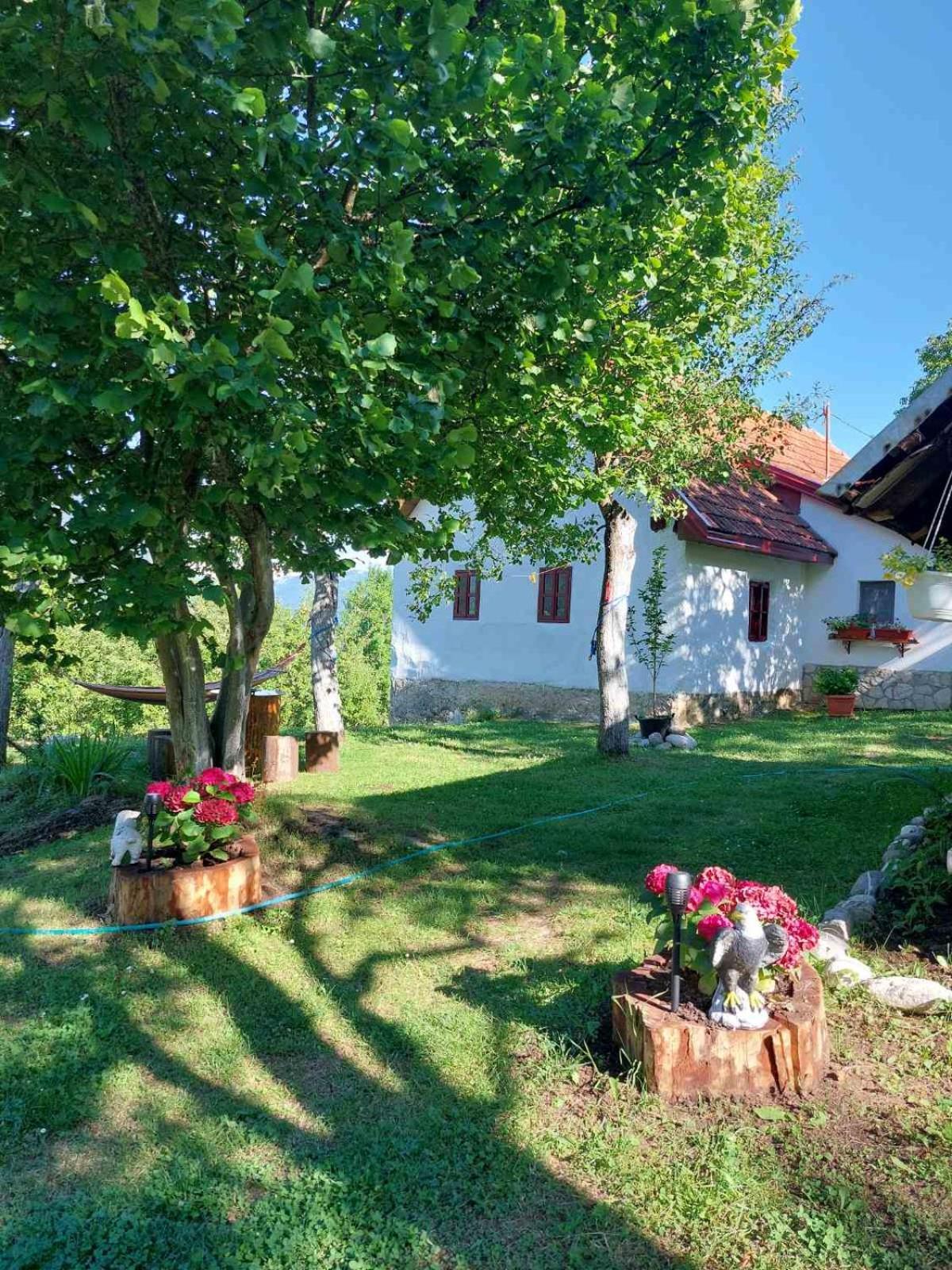 Etno Guest House Lalovic تجينتيستيه المظهر الخارجي الصورة