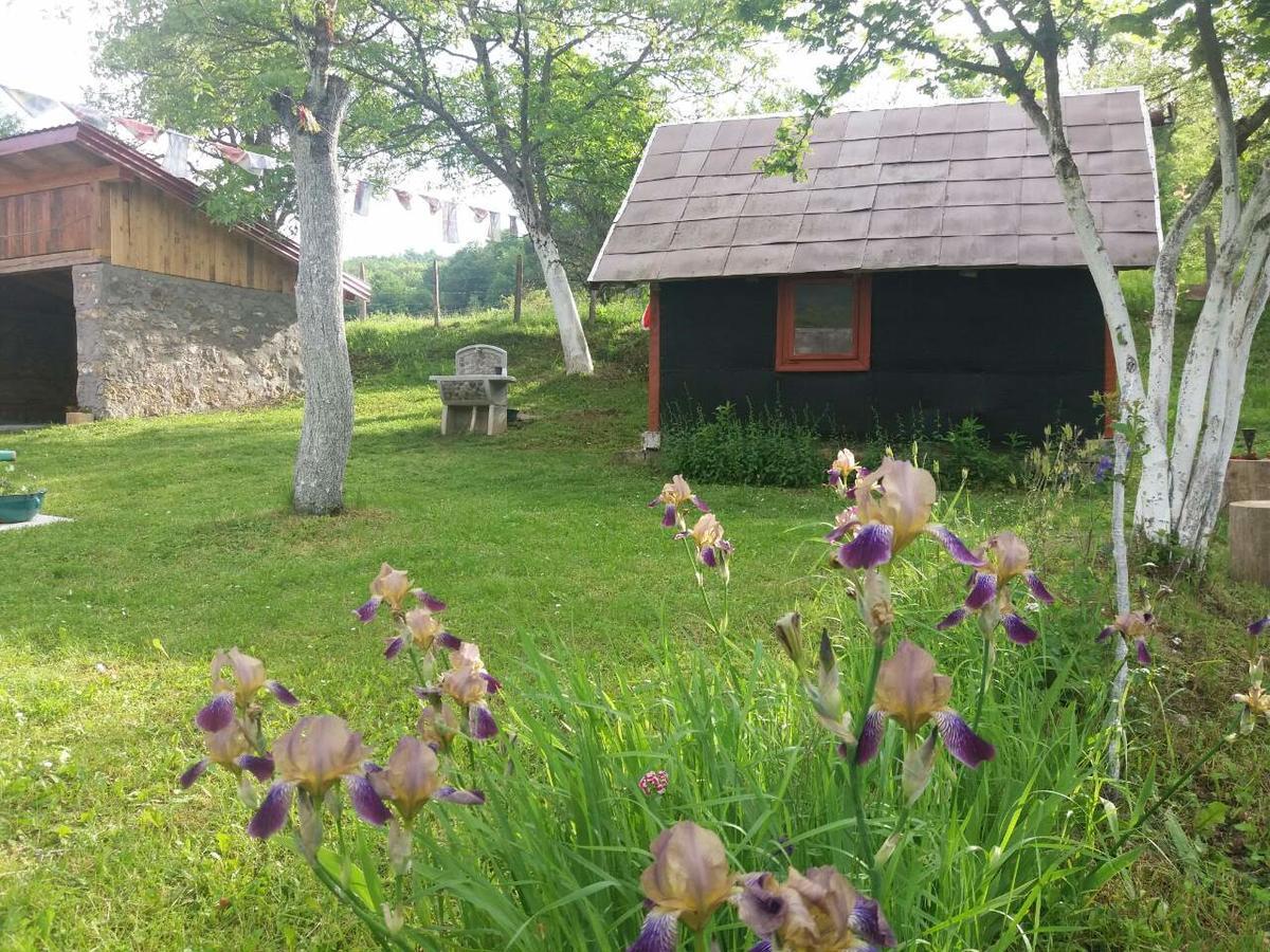 Etno Guest House Lalovic تجينتيستيه المظهر الخارجي الصورة