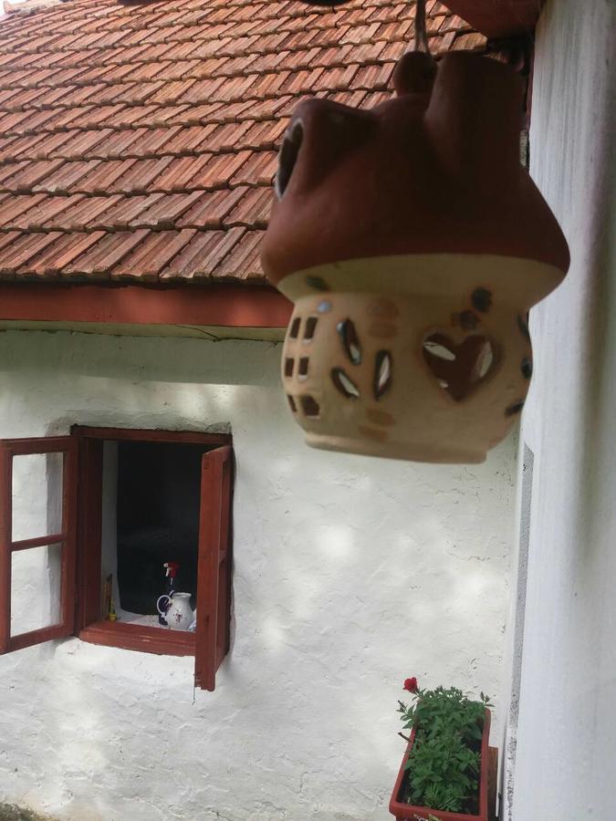 Etno Guest House Lalovic تجينتيستيه المظهر الخارجي الصورة