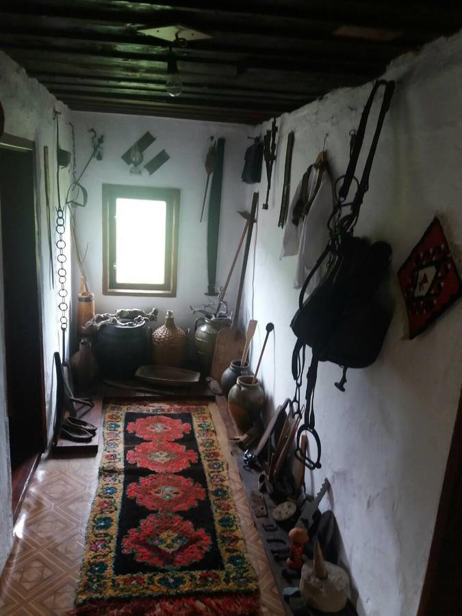 Etno Guest House Lalovic تجينتيستيه المظهر الخارجي الصورة