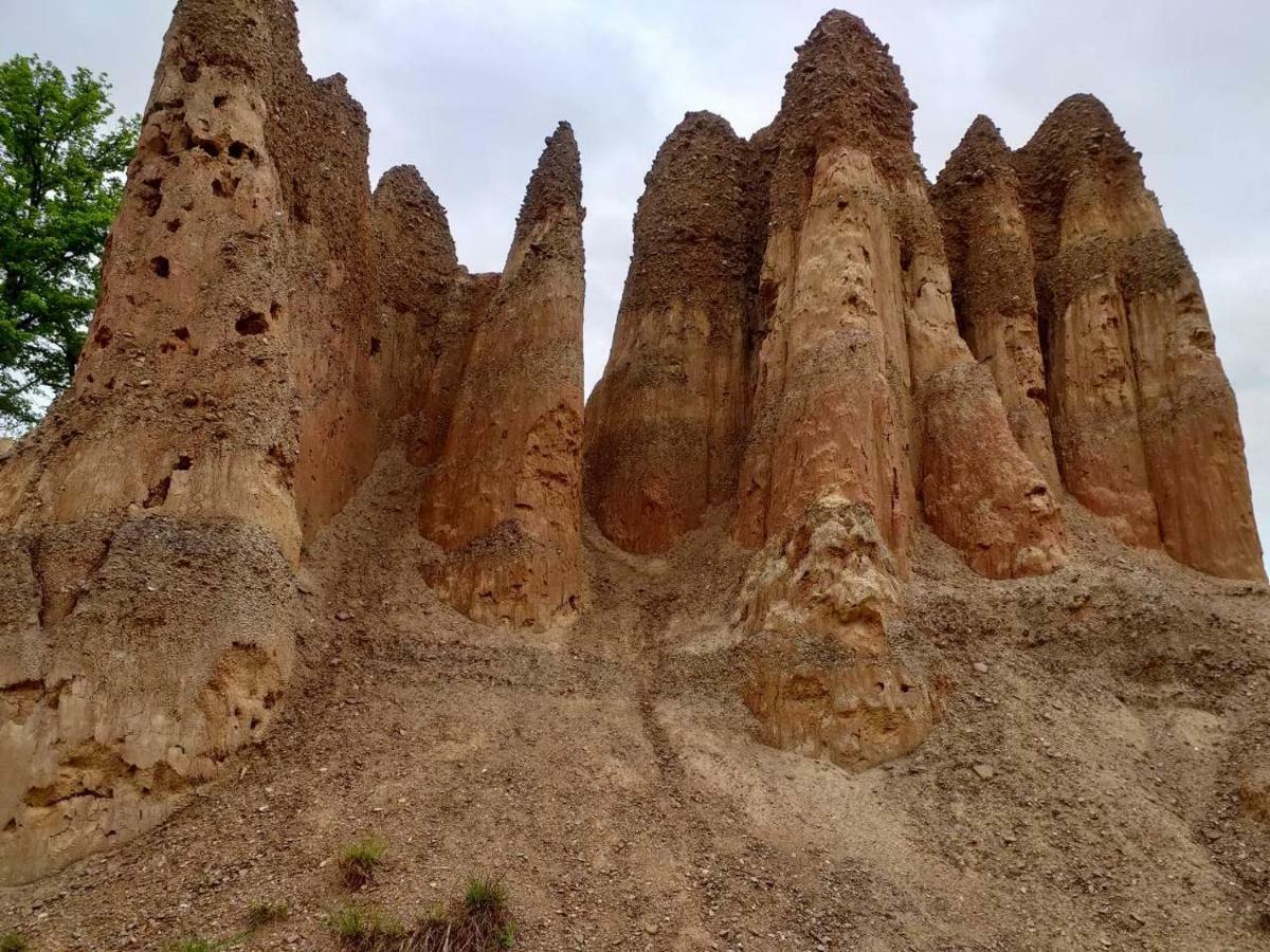 Etno Guest House Lalovic تجينتيستيه المظهر الخارجي الصورة